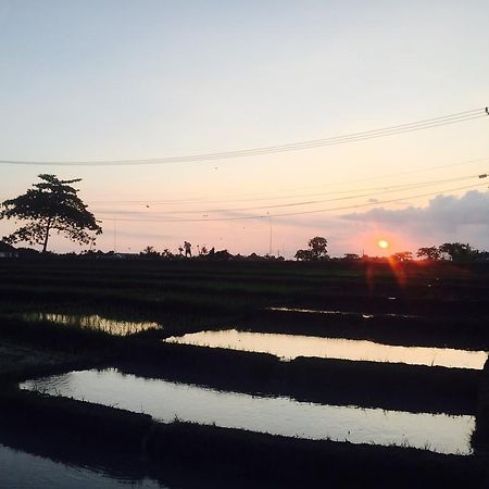 Pererenan Nengah Guest House Canggu Εξωτερικό φωτογραφία