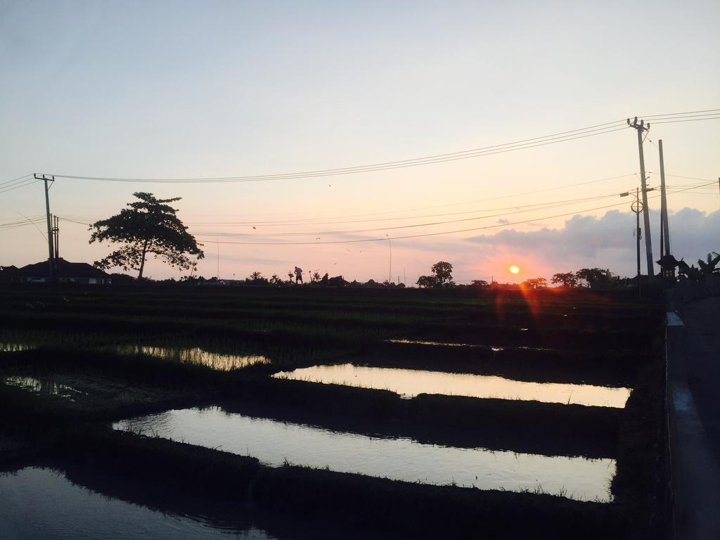 Pererenan Nengah Guest House Canggu Εξωτερικό φωτογραφία